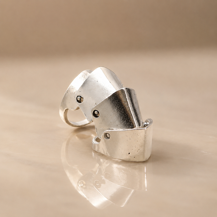 Segmented Armor Ring