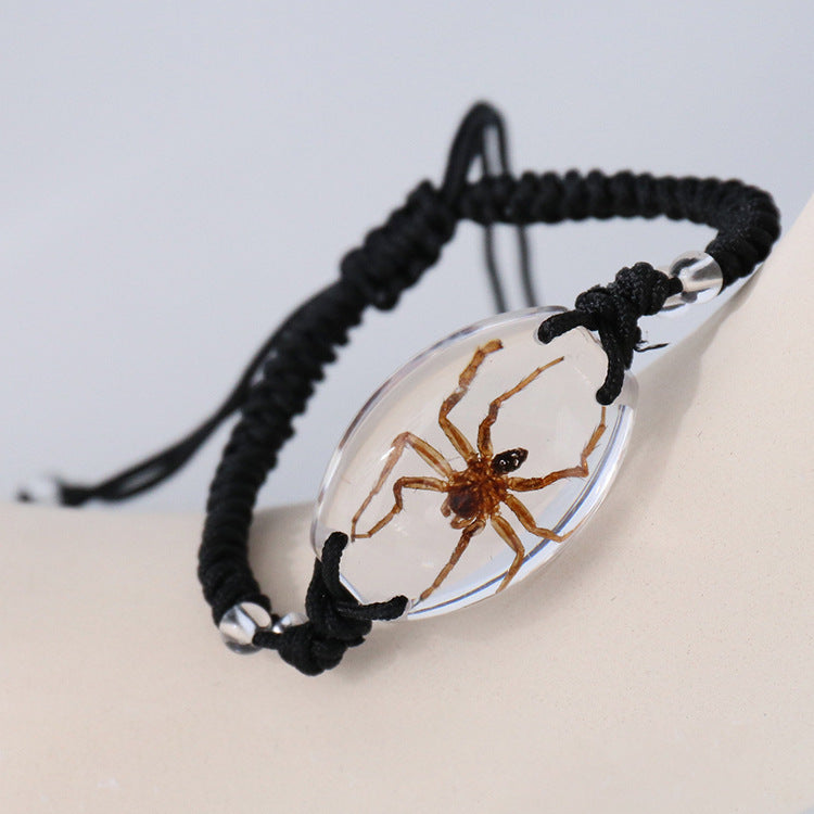 Real Insect Specimen Resin Bracelet