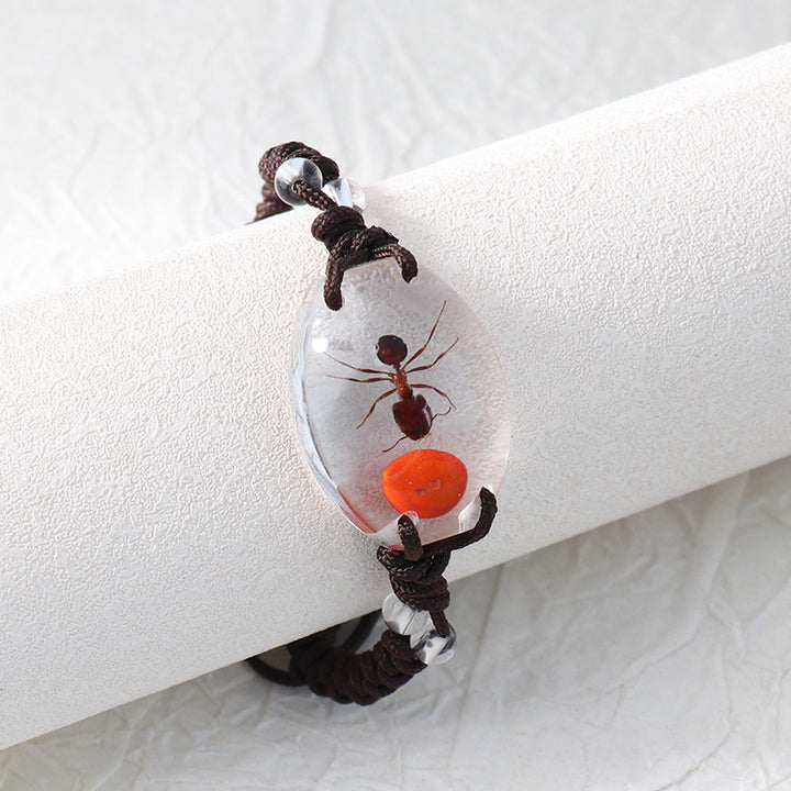 Real Insect Specimen Resin Bracelet