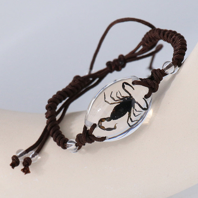 Real Insect Specimen Resin Bracelet