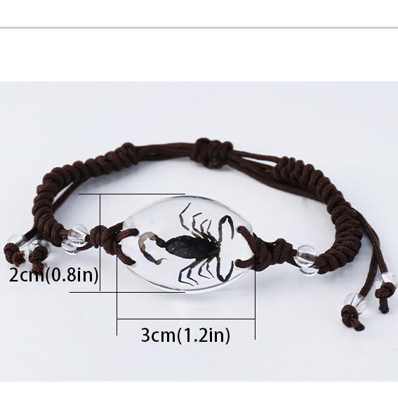 Real Insect Specimen Resin Bracelet
