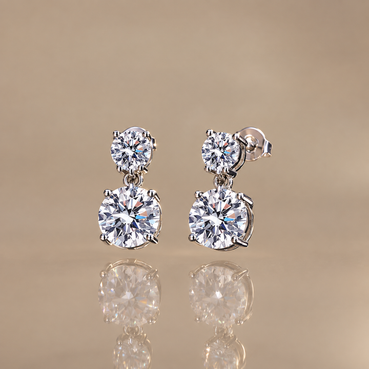 Double Zircon Drop Earrings