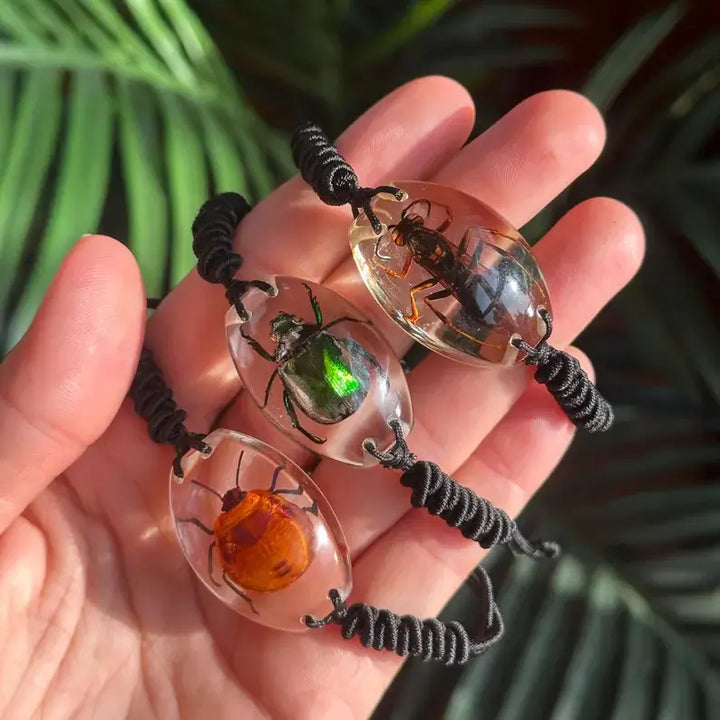 Real Insect Specimen Resin Bracelet