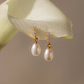 Pearl Drop Crystal Earrings